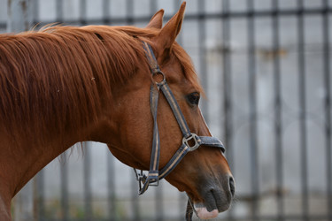 Similar image 21225753