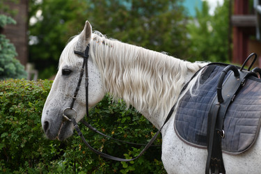 Similar image 21225755