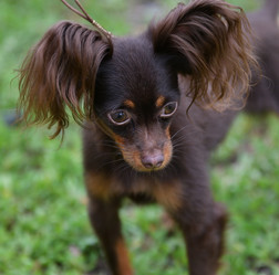 Similar image 21225756