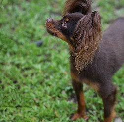 Similar image 21225757