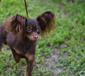 Similar image 21225758