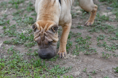 Similar image 21225759