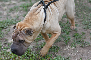 Similar image 21225760