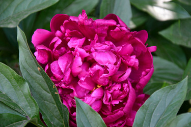 Similar image 21225761