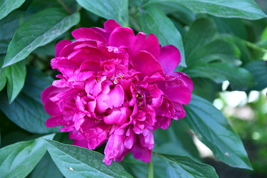 Similar image 21225762