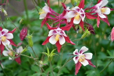 Similar image 21225764