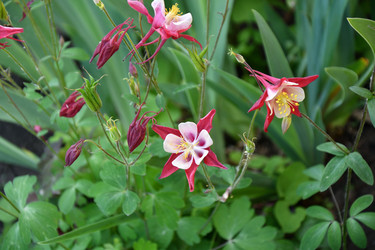 Similar image 21225765