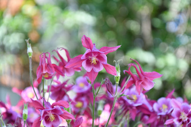 Similar image 21225766