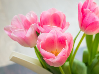 Similar image 21224633