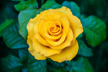 Similar image 21225781