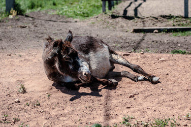 Similar image 21225786