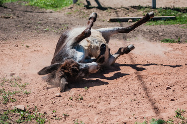 Similar image 21225787