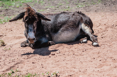 Similar image 21225788