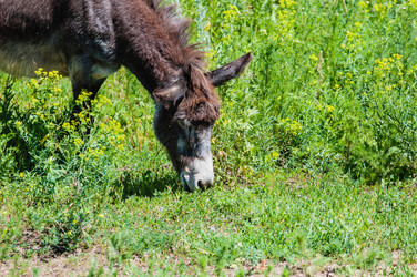 Similar image 21225789