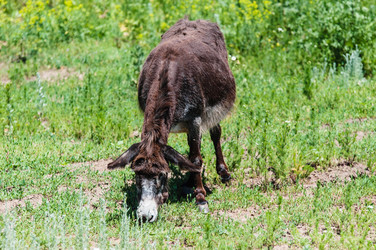 Similar image 21225790