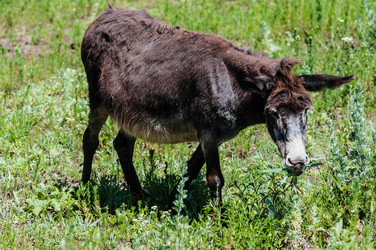 Similar image 21225791