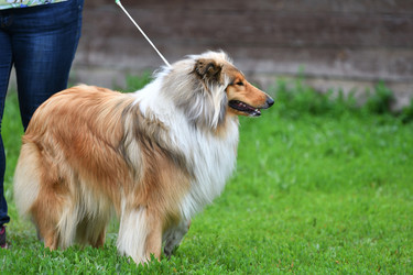 Similar image 21225792