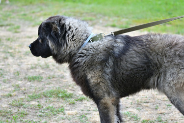 Similar image 21225798