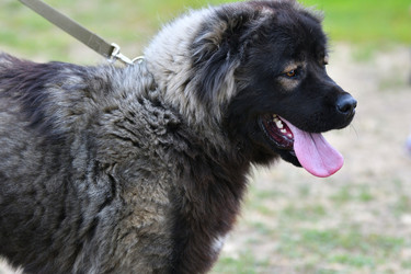 Similar image 21225800