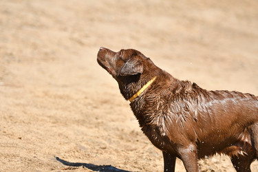 Similar image 21225803