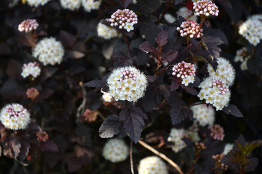 Similar image 21225804