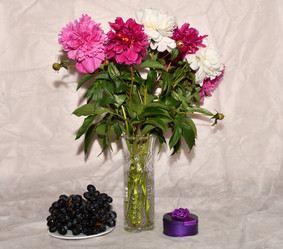 Similar image 21225805