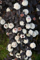 Similar image 21225808