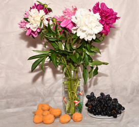 Similar image 21225809