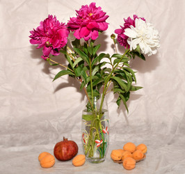 Similar image 21225811