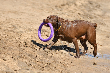 Similar image 21225813