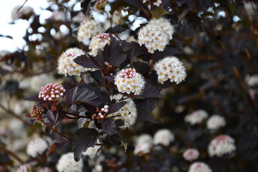 Similar image 21225814