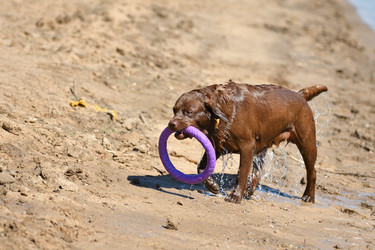 Similar image 21225815