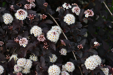 Similar image 21225816