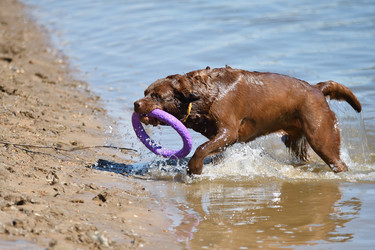 Similar image 21225817