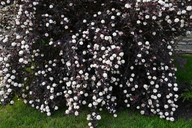 Similar image 21225818