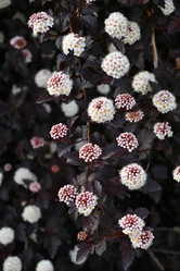 Similar image 21225820