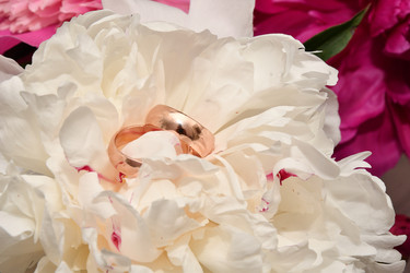 Similar image 21225822