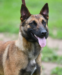 Similar image 21225823