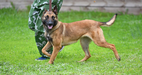 Similar image 21225825