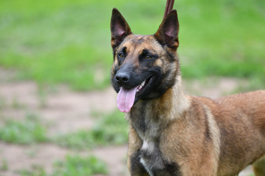 Similar image 21225827