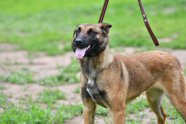 Similar image 21225829