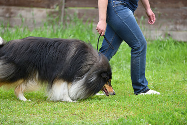 Similar image 21225834