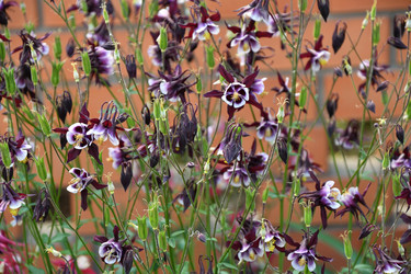 Similar image 21225836