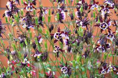 Similar image 21225838