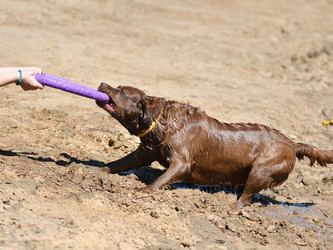 Similar image 21225839