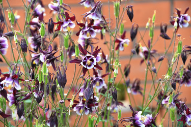 Similar image 21225840