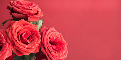 Similar image 21203719