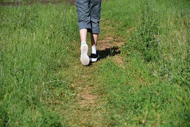 Similar image 21220975