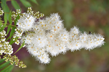 Similar image 21220976