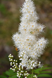 Similar image 21220978